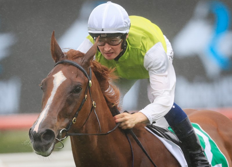 Wagga Tips for 26.08.2021