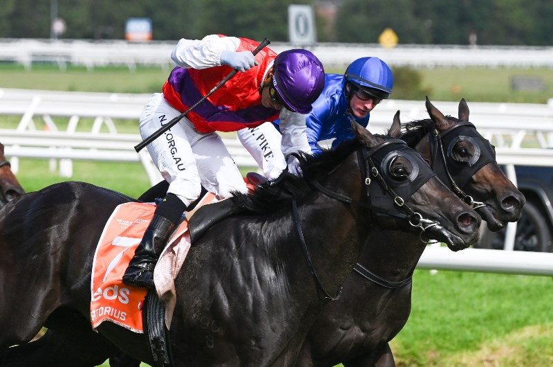 Caulfield Betting Tips