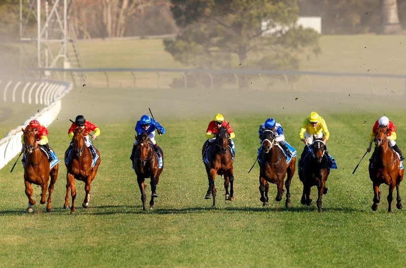 Kembla Grnage Tips for 28.08.2021