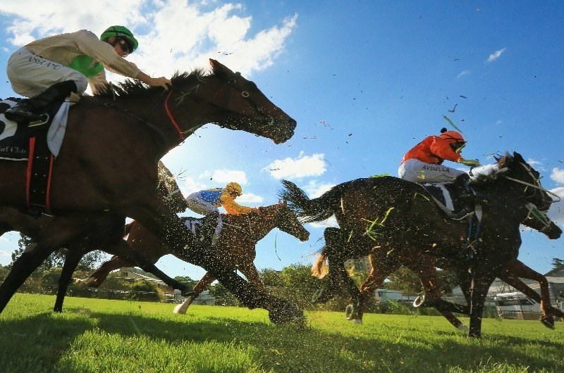 Taree Tips