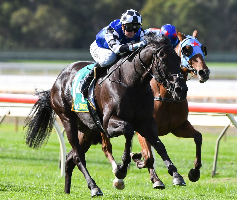 Morphettville Tips for 28.08.2021