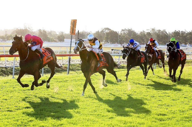 Hawkesbury Tips for 09.02.2021