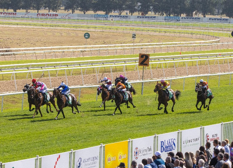 Hawkesbury Tips for 31.08.2021