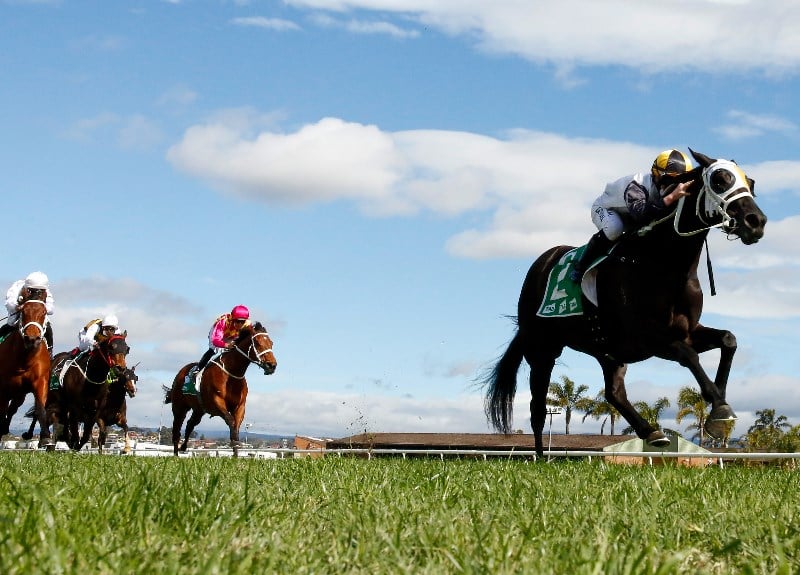 Saturday Blackbookers from August 28