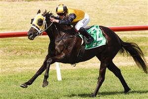 KEMBLA GRANGE, AUSTRALIA - AUGUST 28: Brock Ryan on Signora Nera wins race 3 the Peltzer Special Achievement Handicap during Sydney Racing at Kembla Grange Racecourse on August 28, 2021 in Kembla Grange, Australia. (Photo by Mark Evans/Getty Images)
