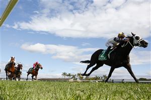 KEMBLA GRANGE, AUSTRALIA - AUGUST 28: Brock Ryan on Signora Nera wins race 3 the Peltzer Special Achievement Handicap during Sydney Racing at Kembla Grange Racecourse on August 28, 2021 in Kembla Grange, Australia. (Photo by Mark Evans/Getty Images)