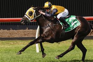 KEMBLA GRANGE, AUSTRALIA - AUGUST 28: Brock Ryan on Signora Nera wins race 3 the Peltzer Special Achievement Handicap during Sydney Racing at Kembla Grange Racecourse on August 28, 2021 in Kembla Grange, Australia. (Photo by Mark Evans/Getty Images)