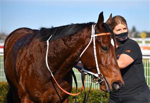 MELBOURNE, AUSTRALIA - AUGUST 28: Masked Crusader after winning race 5, the Mccafe The Heath 1100 Stakes, during Melbourne Racing at Caulfield Racecourse on August 28, 2021 in Melbourne, Australia. (Photo by Vince Caligiuri/Getty Images)