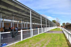 MELBOURNE, AUSTRALIA - AUGUST 28: General view of the temporary stables during Melbourne Racing at Caulfield Racecourse on August 28, 2021 in Melbourne, Australia. Race meetings are still held with no crowds in attendance due to Covid restrictions. (Photo by Vince Caligiuri/Getty Images)