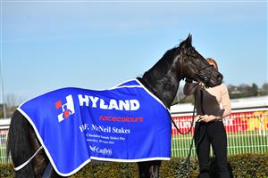 MELBOURNE, AUSTRALIA - AUGUST 28: Bruckner after winning Race 4, the H.d.f. Mcneil Stakes, during Melbourne Racing at Caulfield Racecourse on August 28, 2021 in Melbourne, Australia. (Photo by Vince Caligiuri/Getty Images)