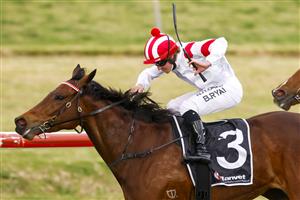 KEMBLA GRANGE, AUSTRALIA - AUGUST 28: Brock Ryan on Madam Legend wins race 8 the Ranvet Handicap during Sydney Racing at Kembla Grange Racecourse on August 28, 2021 in Kembla Grange, Australia. (Photo by Mark Evans/Getty Images)