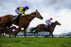 KEMBLA GRANGE, AUSTRALIA - AUGUST 28: Brock Ryan on Madam Legend wins race 8 the Ranvet Handicap during Sydney Racing at Kembla Grange Racecourse on August 28, 2021 in Kembla Grange, Australia. (Photo by Mark Evans/Getty Images)