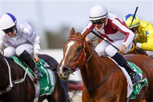 KEMBLA GRANGE, AUSTRALIA - AUGUST 28: Sam Clipperton on Propose A Toast wins race 1 the Tab Highway Class 2 Handicap during Sydney Racing at Kembla Grange Racecourse on August 28, 2021 in Kembla Grange, Australia. (Photo by Mark Evans/Getty Images)