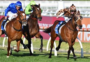 MELBOURNE, AUSTRALIA - AUGUST 28: Beau Mertens riding No Effort winning Race 7, the Tile Importer Heatherlie Stakes, during Melbourne Racing at Caulfield Racecourse on August 28, 2021 in Melbourne, Australia. (Photo by Vince Caligiuri/Getty Images)