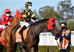 MELBOURNE, AUSTRALIA - AUGUST 28: Damian Lane riding Probabeel before winning race 6, the W.w. Cockram Stakes, during Melbourne Racing at Caulfield Racecourse on August 28, 2021 in Melbourne, Australia. (Photo by Vince Caligiuri/Getty Images)
