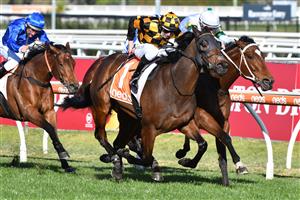 MELBOURNE, AUSTRALIA - AUGUST 28: Damian Lane riding Probabeel winning race 6, the W.w. Cockram Stakes, during Melbourne Racing at Caulfield Racecourse on August 28, 2021 in Melbourne, Australia. (Photo by Vince Caligiuri/Getty Images)
