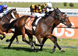 MELBOURNE, AUSTRALIA - AUGUST 28: Damian Lane riding Probabeel winning race 6, the W.w. Cockram Stakes, during Melbourne Racing at Caulfield Racecourse on August 28, 2021 in Melbourne, Australia. (Photo by Vince Caligiuri/Getty Images)