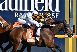 MELBOURNE, AUSTRALIA - AUGUST 28: Damian Lane riding Probabeel winning race 6, the W.w. Cockram Stakes, during Melbourne Racing at Caulfield Racecourse on August 28, 2021 in Melbourne, Australia. (Photo by Vince Caligiuri/Getty Images)