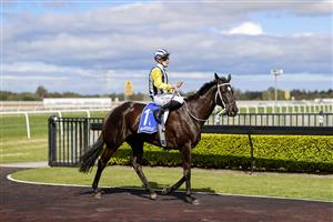 KEMBLA GRANGE, AUSTRALIA - AUGUST 28: James McDonald on Our Intrigue returns to scale after winning
race 4 the Nswroa Trophy during Sydney Racing at Kembla Grange Racecourse on August 28, 2021 in Kembla Grange, Australia. (Photo by Mark Evans/Getty Images)