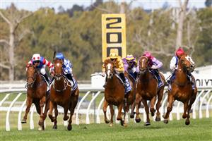 KEMBLA GRANGE, AUSTRALIA - AUGUST 28: James McDonald (yellow) on Royalzel wins race 2 the Midway Handicap during Sydney Racing at Kembla Grange Racecourse on August 28, 2021 in Kembla Grange, Australia. (Photo by Mark Evans/Getty Images)