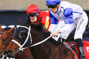 KEMBLA GRANGE, AUSTRALIA - AUGUST 28: James McDonald on Coastwatch wins race 5 the Fujitsu General Ming Dynasty during Sydney Racing at Kembla Grange Racecourse on August 28, 2021 in Kembla Grange, Australia. (Photo by Mark Evans/Getty Images)
