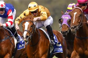 KEMBLA GRANGE, AUSTRALIA - AUGUST 28: James McDonald (yellow) on Royalzel wins race 2 the Midway Handicap during Sydney Racing at Kembla Grange Racecourse on August 28, 2021 in Kembla Grange, Australia. (Photo by Mark Evans/Getty Images)