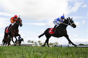 KEMBLA GRANGE, AUSTRALIA - AUGUST 28: James McDonald on Coastwatch wins race 5 the Fujitsu General Ming Dynasty during Sydney Racing at Kembla Grange Racecourse on August 28, 2021 in Kembla Grange, Australia. (Photo by Mark Evans/Getty Images)