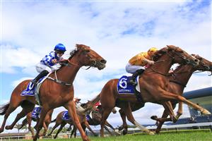 KEMBLA GRANGE, AUSTRALIA - AUGUST 28: James McDonald (yellow) on Royalzel wins race 2 the Midway Handicap during Sydney Racing at Kembla Grange Racecourse on August 28, 2021 in Kembla Grange, Australia. (Photo by Mark Evans/Getty Images)