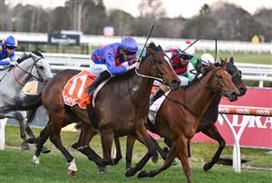 MELBOURNE, AUSTRALIA - AUGUST 28: John Allen riding Ayrton winning Race 9, the Neds Filter Form Handicap, during Melbourne Racing at Caulfield Racecourse on August 28, 2021 in Melbourne, Australia. (Photo by Vince Caligiuri/Getty Images)