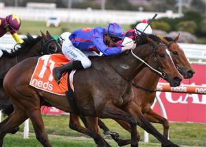 MELBOURNE, AUSTRALIA - AUGUST 28: John Allen riding Ayrton winning Race 9, the Neds Filter Form Handicap, during Melbourne Racing at Caulfield Racecourse on August 28, 2021 in Melbourne, Australia. (Photo by Vince Caligiuri/Getty Images)