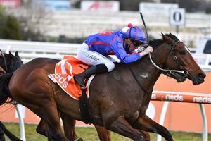 MELBOURNE, AUSTRALIA - AUGUST 28: John Allen riding Ayrton winning Race 9, the Neds Filter Form Handicap, during Melbourne Racing at Caulfield Racecourse on August 28, 2021 in Melbourne, Australia. (Photo by Vince Caligiuri/Getty Images)