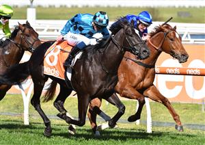 MELBOURNE, AUSTRALIA - AUGUST 28: John Allen riding Bruckner defeats Damien Oliver riding Heresy (3rd) in Race 4, the H.d.f. Mcneil Stakes, during Melbourne Racing at Caulfield Racecourse on August 28, 2021 in Melbourne, Australia. (Photo by Vince Caligiuri/Getty Images)