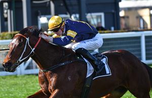 MELBOURNE, AUSTRALIA - AUGUST 28: Jye McNeil riding Masked Crusader winning race 5, the Mccafe The Heath 1100 Stakes, during Melbourne Racing at Caulfield Racecourse on August 28, 2021 in Melbourne, Australia. (Photo by Vince Caligiuri/Getty Images)