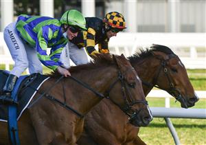 MELBOURNE, AUSTRALIA - AUGUST 28: Brett Prebble riding Behemoth defeats Linda Meech riding Beau Rossa (L) in Race 8, the Moet & Chandon Memsie Stakes, during Melbourne Racing at Caulfield Racecourse on August 28, 2021 in Melbourne, Australia. (Photo by Vince Caligiuri/Getty Images)