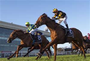 MELBOURNE, AUSTRALIA - AUGUST 28: Brett Prebble riding Behemoth defeats Linda Meech riding Beau Rossa (L) in Race 8, the Moet & Chandon Memsie Stakes, during Melbourne Racing at Caulfield Racecourse on August 28, 2021 in Melbourne, Australia. (Photo by Vince Caligiuri/Getty Images)