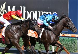 MELBOURNE, AUSTRALIA - AUGUST 28: John Allen riding Bruckner defeats Luke Currie riding Artorius and Damien Oliver riding Heresy in Race 4, the H.d.f. Mcneil Stakes, during Melbourne Racing at Caulfield Racecourse on August 28, 2021 in Melbourne, Australia. (Photo by Vince Caligiuri/Getty Images)