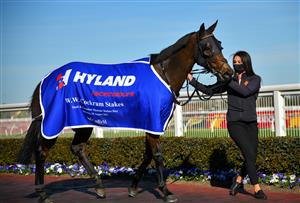 MELBOURNE, AUSTRALIA - AUGUST 28: Probabeel after winning race 6, the W.w. Cockram Stakes, during Melbourne Racing at Caulfield Racecourse on August 28, 2021 in Melbourne, Australia. (Photo by Vince Caligiuri/Getty Images)