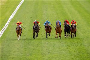 KEMBLA GRANGE, AUSTRALIA - AUGUST 28: Tim Clark (L) on In The Congo wins race 6 the XXXX San Domenico Stakes during Sydney Racing at Kembla Grange Racecourse on August 28, 2021 in Kembla Grange, Australia. (Photo by Mark Evans/Getty Images)