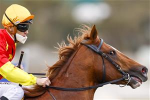 KEMBLA GRANGE, AUSTRALIA - AUGUST 28: Tim Clark on In The Congo returns to scale after winning
race 6 the XXXX San Domenico Stakes during Sydney Racing at Kembla Grange Racecourse on August 28, 2021 in Kembla Grange, Australia. (Photo by Mark Evans/Getty Images)