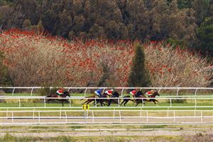 KEMBLA GRANGE, AUSTRALIA - AUGUST 28: Tim Clark (R) on In The Congo wins race 6 the XXXX San Domenico Stakes during Sydney Racing at Kembla Grange Racecourse on August 28, 2021 in Kembla Grange, Australia. (Photo by Mark Evans/Getty Images)