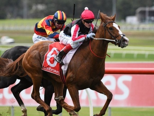 Craig Williams megabet