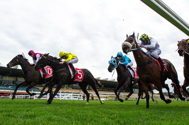 Sandown Betting Tips
