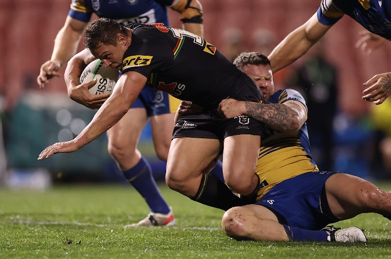 eels panthers