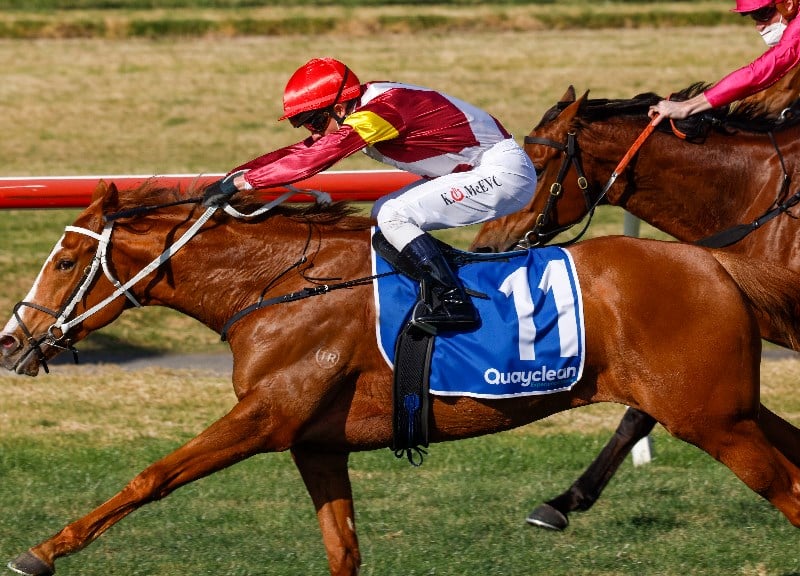 kerrin mcevoy megabet