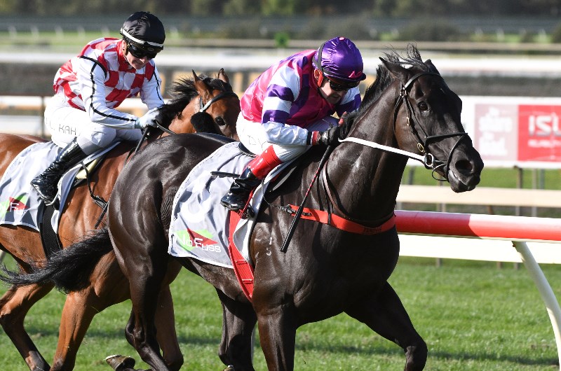 Bendigo Betting Tips