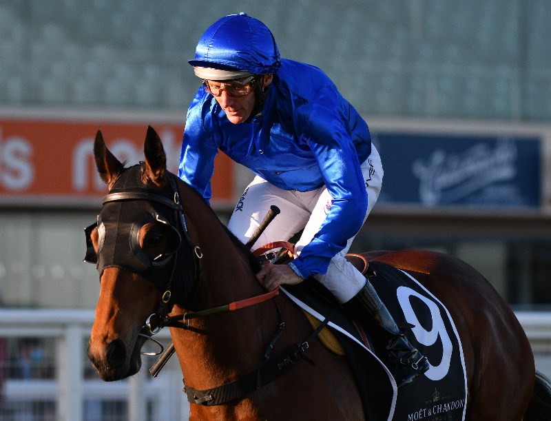 Damien Oliver Jockey Market