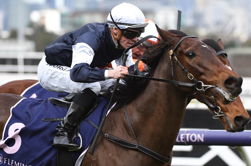 Moonee Valley Betting Tips
