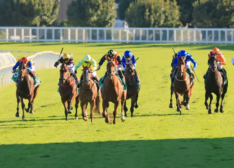 Randwick Tips for 04.09.2021