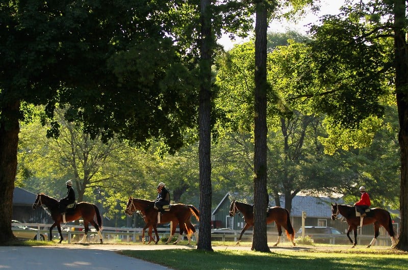 saratoga springs