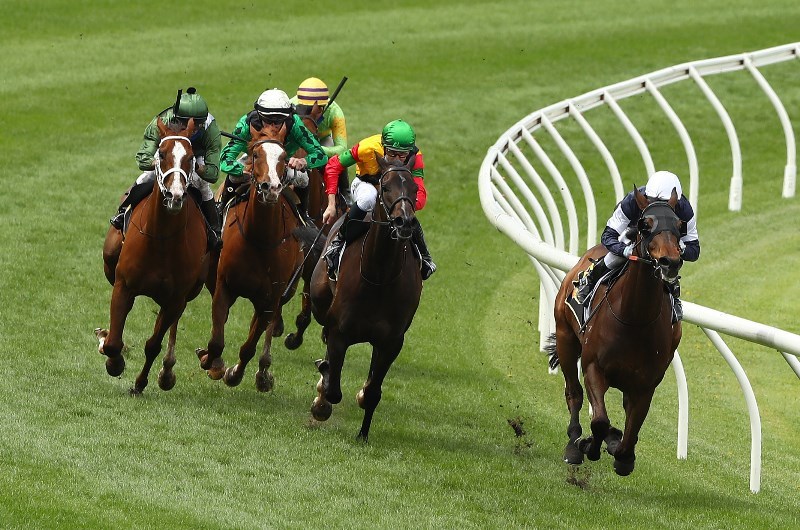 Moonee Valley Betting Tips